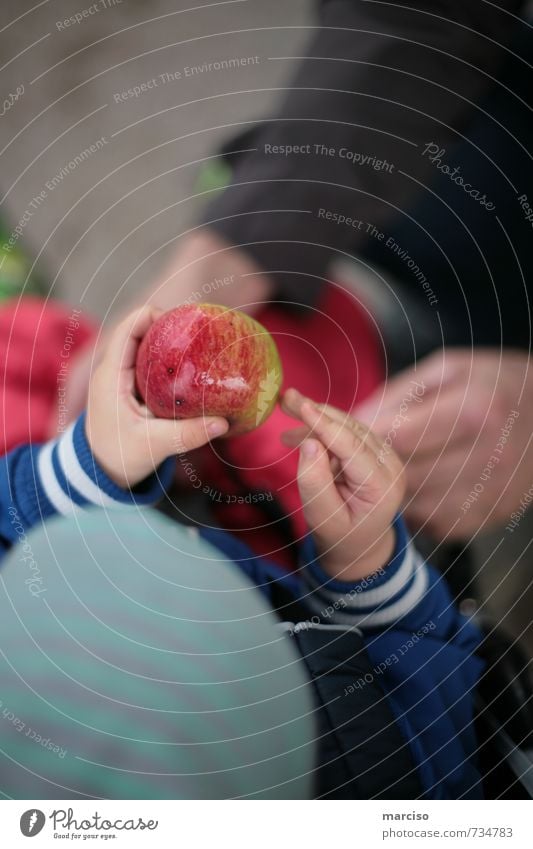 Appletime Lebensmittel Frucht Apfel Gesundheit Gesunde Ernährung Kindererziehung Kindergarten lernen Kleinkind beobachten Essen lecker saftig Hilfsbereitschaft