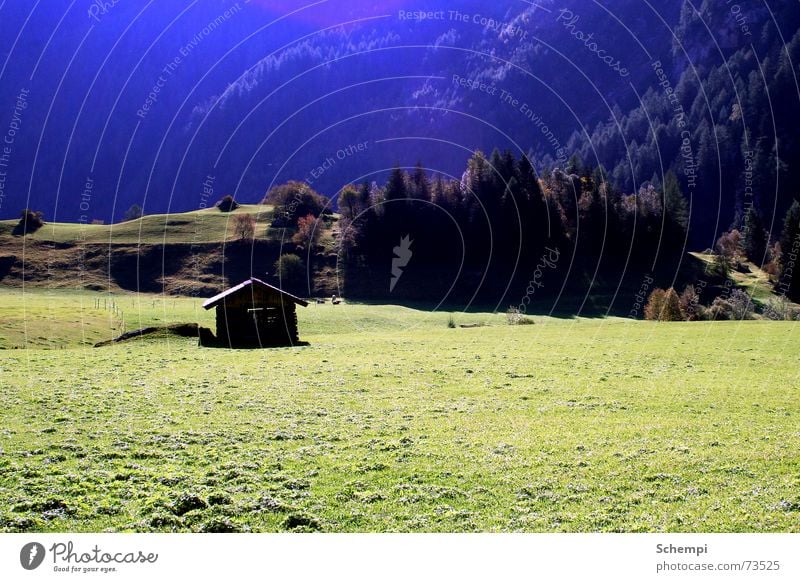 Heidis Zuhause? Sommer Kuh Wiese Farbverlauf Hütte Alpen östereich klapprig Idylle