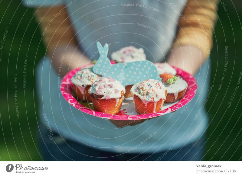 blauer Hase Lebensmittel Kuchen Süßwaren Ernährung Kaffeetrinken Büffet Brunch Festessen Picknick Bioprodukte Vegetarische Ernährung Fingerfood Teller Lifestyle