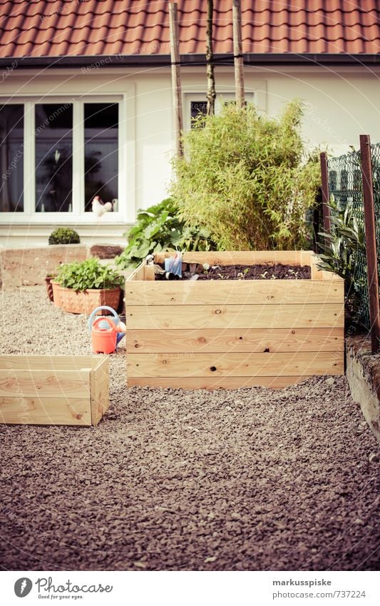 hochbeet- urban gardening Lebensmittel Gemüse Salat Salatbeilage Frucht Kräuter & Gewürze Bioprodukte Vegetarische Ernährung Diät Fasten Lifestyle Stil Design