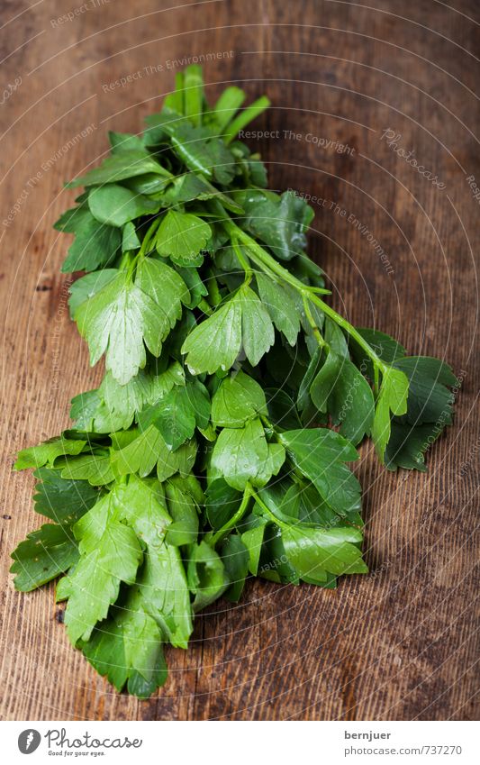 Bädasui Lebensmittel Kräuter & Gewürze Ernährung Vegetarische Ernährung Billig gut lecker Petersilie glatt Bündel Holzbrett rustikal Menschenleer roh nass