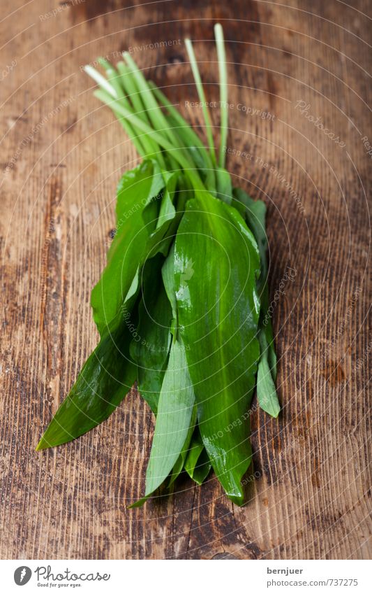 Bärlauch Lebensmittel Gemüse Bioprodukte Vegetarische Ernährung Billig gut Frühling Kräuter & Gewürze Holzbrett rustikal roh feucht Zutaten nass Tau Blatt