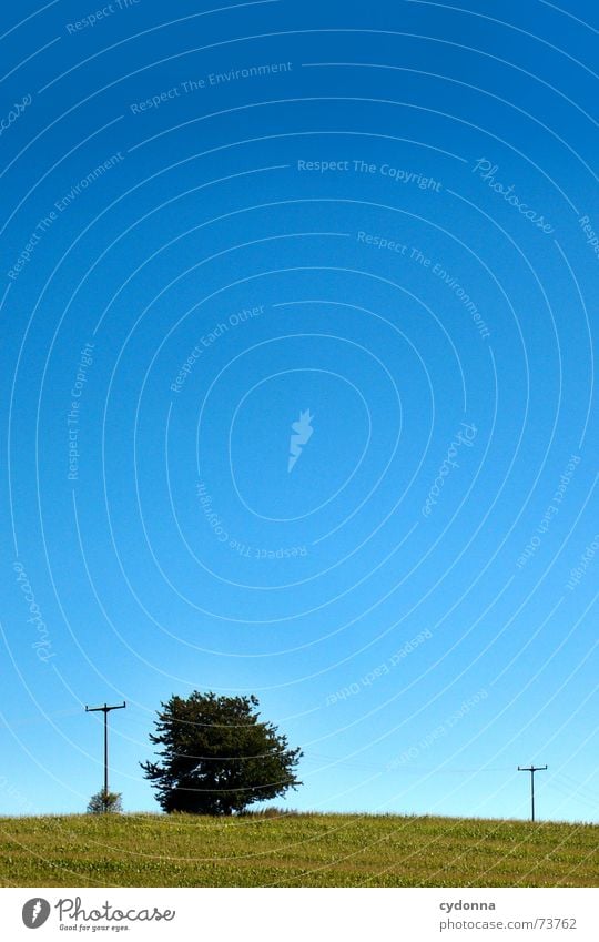 Himmelszelt Feld Baum minimalistisch Strommast Oberleitung schön Ferne Sommer Stimmung Farbverlauf Luft ruhig Mais Natur blau Klarheit Bodenbelag leer Ausflug