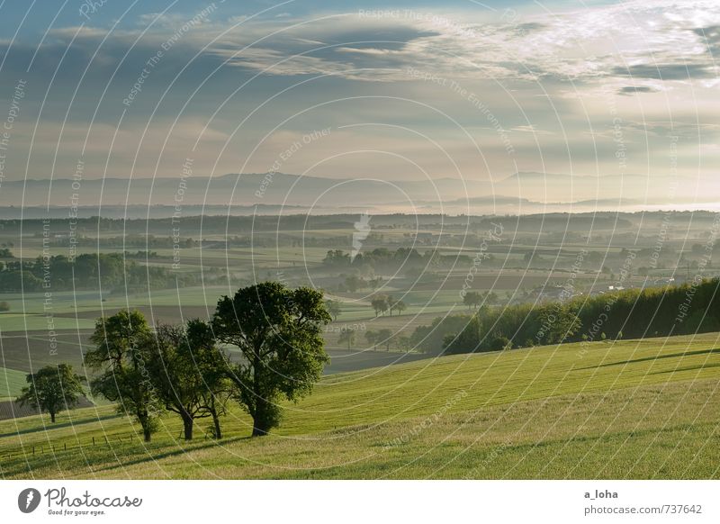 from dusk till dawn II Umwelt Natur Landschaft Pflanze Urelemente Himmel Wolken Horizont Sonne Sonnenlicht Frühling Wetter Baum Gras Grünpflanze Nutzpflanze