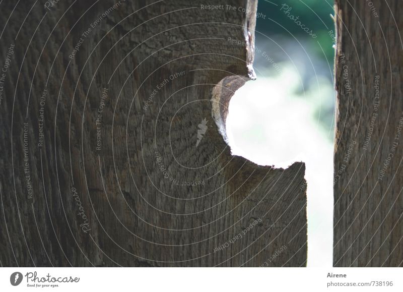 Trockenheit | dürres Holz Brücke Mauer Wand Brückengeländer Holzwand Holzbrett Holzbrücke Zeichen beobachten blau braun grün weiß Durchblick Öffnung Wölbung