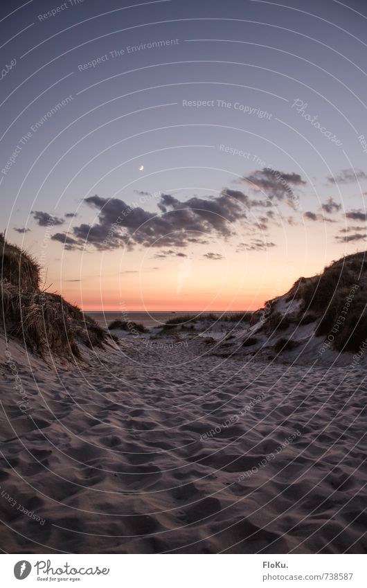 Gute Nacht, Nordsee Ferien & Urlaub & Reisen Tourismus Ausflug Abenteuer Ferne Freiheit Sommerurlaub Strand Meer Umwelt Natur Landschaft Sand Himmel Wolken