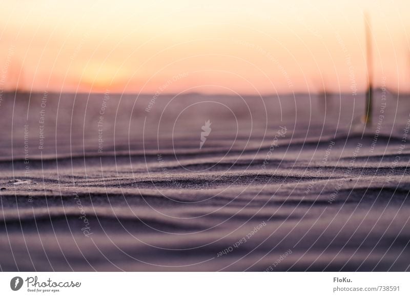 trockene Wogen Ferien & Urlaub & Reisen Ausflug Abenteuer Ferne Freiheit Sommer Sommerurlaub Strand Meer Umwelt Natur Urelemente Erde Sand Wolkenloser Himmel