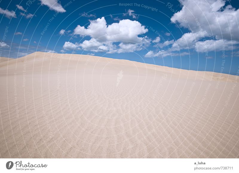 Sanddunes Natur Landschaft Urelemente Luft Himmel Wolken Sommer Klima Schönes Wetter Wärme Küste Strand Meer Linie Fernweh ästhetisch Einsamkeit rein