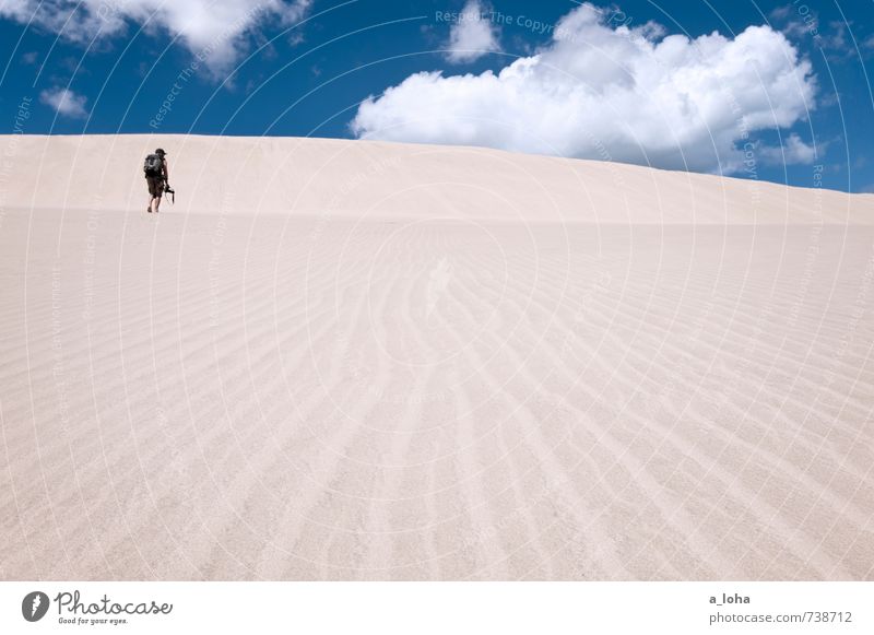 Te Paki Mensch maskulin Mann Erwachsene 1 Umwelt Natur Landschaft Urelemente Sand Himmel Wolken Sommer Schönes Wetter Küste Strand Meer Linie Fernweh rein Ferne