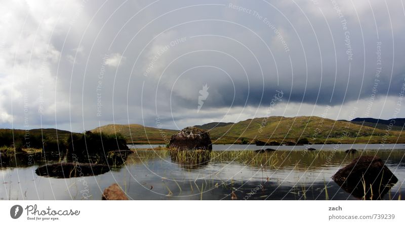 Connemara Natur Landschaft Himmel Wolken Frühling Sommer schlechtes Wetter Pflanze Gras Sträucher Moos Wiese Feld Hügel Seeufer Flussufer Moor Sumpf Stein braun