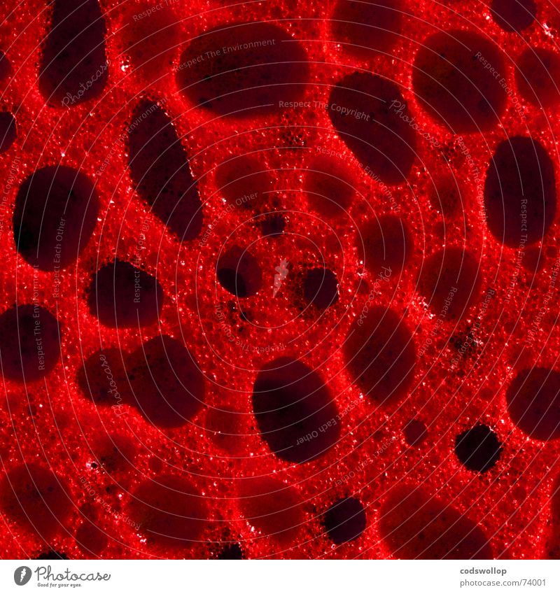 sonnenbrand bob Meer Bad Schwamm rot Ärger Wut Quadrat Bob Strukturen & Formen Farbfoto mehrfarbig abstrakt Muster Totale