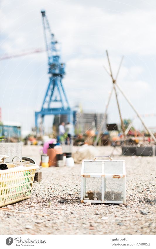 Hessentreffen 14 | Hafengarten Erde Sand Sommer Schönes Wetter Garten Hafenstadt Stadtrand Platz Freundlichkeit hell Lebensfreude Kran Gewächshaus leicht luftig