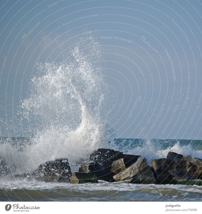 Ostsee Meer Wellen Brandung Gischt Buhne Küste nass Leidenschaft Sturm Ahrenshoop Fischland-Darß-Zingst salzig Ferien & Urlaub & Reisen Stein Felsen Wasser