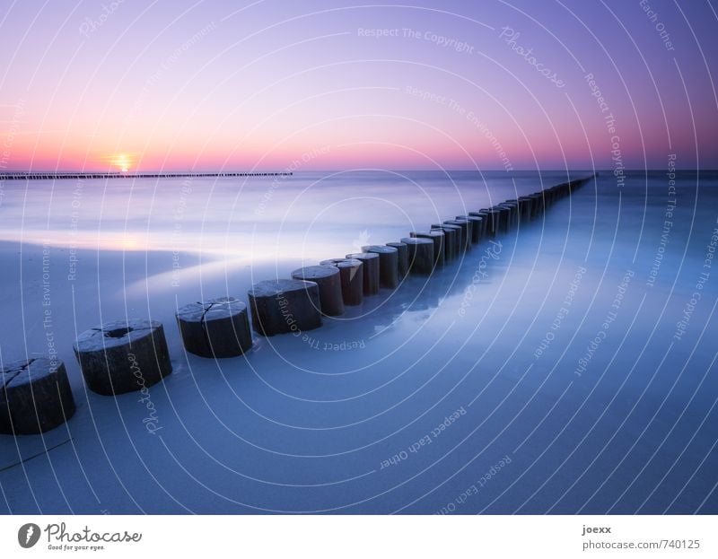 Tagesglück Ferne Freiheit Sommerurlaub Strand Insel Natur Wolkenloser Himmel Sonne Sonnenaufgang Sonnenuntergang Schönes Wetter Unendlichkeit schön blau violett