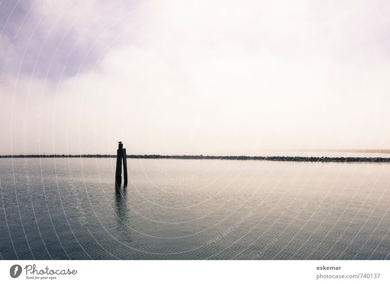 Weite Insel Natur Landschaft Wasser Himmel Horizont Küste Ostsee Meer Vorpommersche Boddenlandschaft Hiddensee Kloster Hafen ästhetisch authentisch einfach