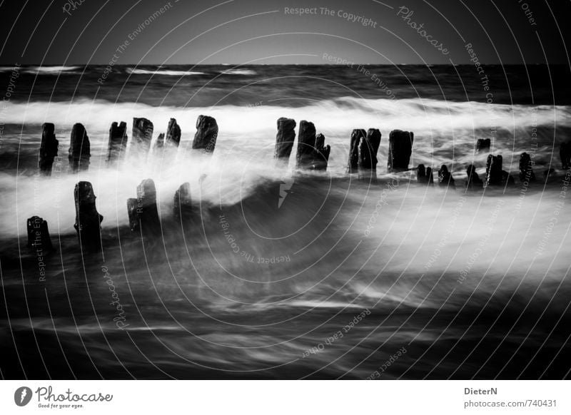 Wildwasser Strand Meer Wellen Landschaft Wasser Horizont Frühling Wind Sturm Ostsee grau schwarz weiß Kühlungsborn Mecklenburg-Vorpommern Buhne Schwarzweißfoto