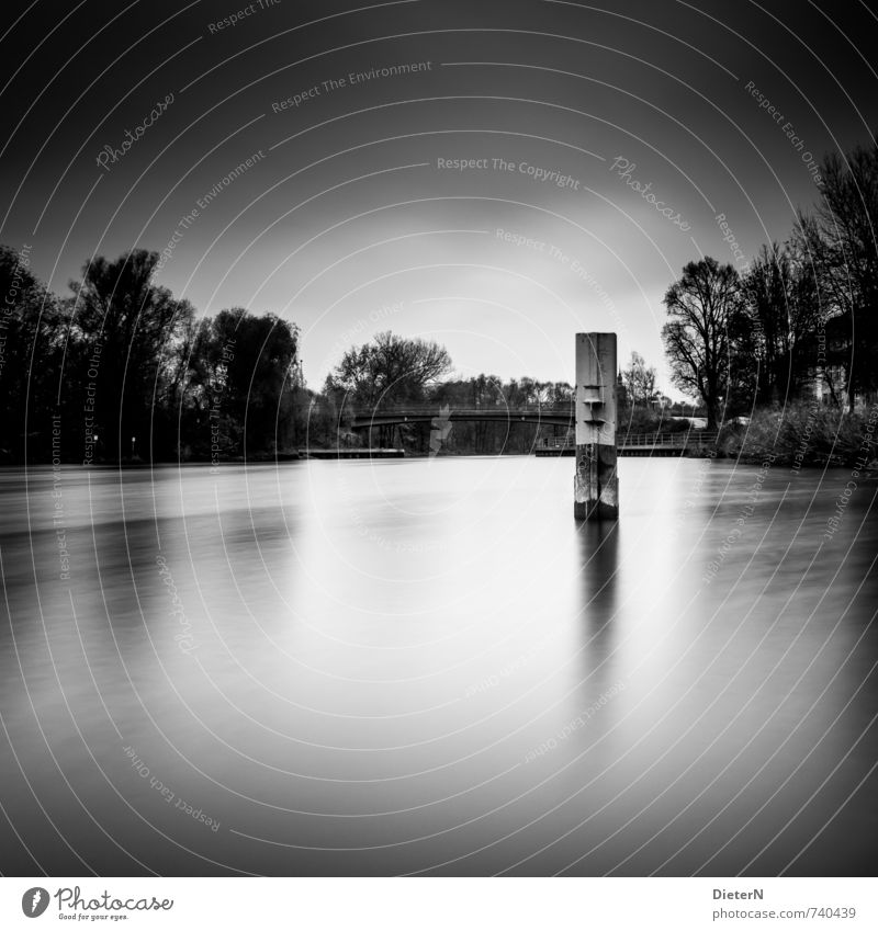 Im Fluss Wasser Wolken Baum Brücke Bauwerk schwarz weiß Säule Schwarzweißfoto Textfreiraum oben Textfreiraum unten Abend Dämmerung Licht Schatten Kontrast