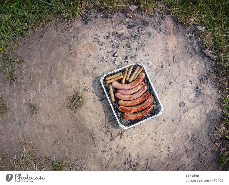 Romantisches Picknick im Grünen Lebensmittel Fleisch Wurstwaren Ernährung Essen Natur Erde Frühling Sommer Rasen Feuerstelle Wiese Grill lecker Grillkohle