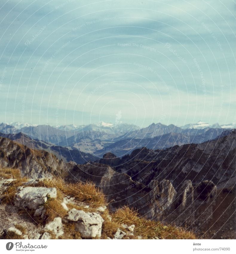 Alpentour Gras Am Rand wandern Schweiz Sommer ruhig Fußweg Freizeit & Hobby Verlauf Unendlichkeit Ferne Aussicht retten Felsen Himmel Niveau Klettern bergig