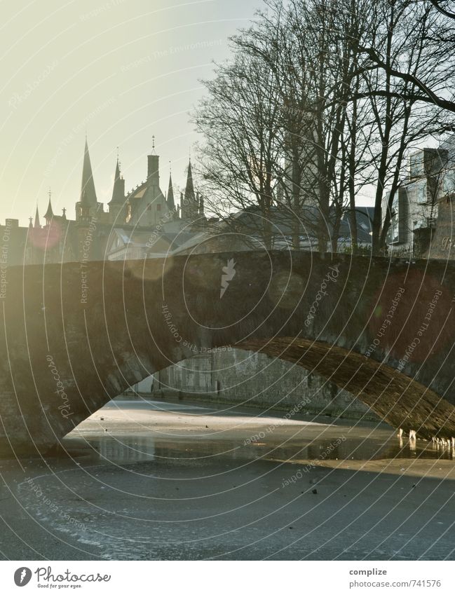 Brücke in Brügge Ferien & Urlaub & Reisen Sightseeing Städtereise Mauer Wand Sehenswürdigkeit Romantik Idylle Altstadt Unschärfe Belgien historisch Gotik Winter