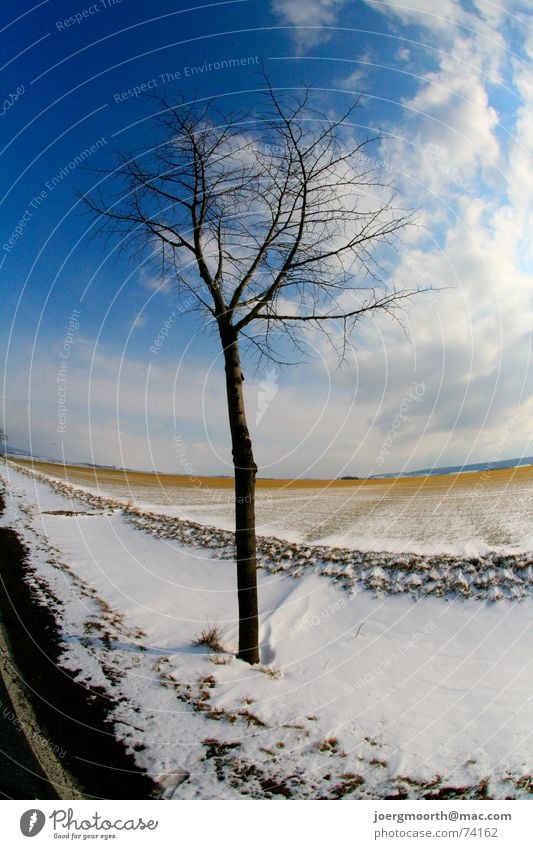 Baum Wolken Feld Stimmung kalt Winter Schnee Straße blau Himmel Landschaft Sonne