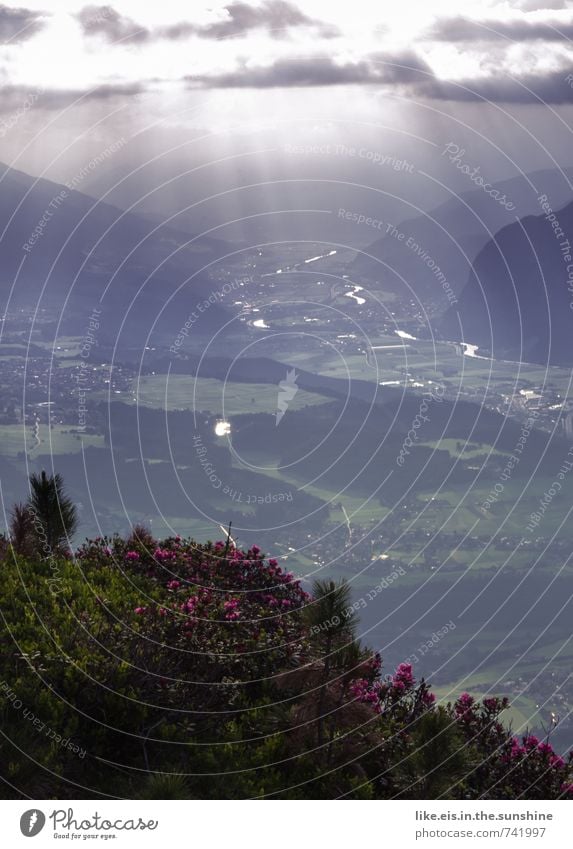 100% alpen-romantik Wellness Leben harmonisch Wohlgefühl Zufriedenheit Sinnesorgane Erholung ruhig Freiheit wandern Umwelt Natur Landschaft Himmel Wolken Klima