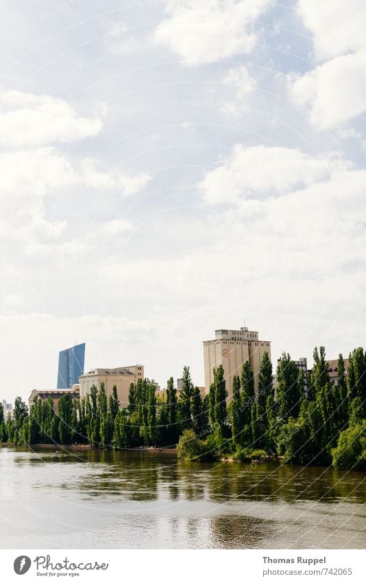 Hessentreffen 14 - Frankfurt im grünen Natur Pflanze Wasser Himmel Wolken Schönes Wetter Baum Wald Fluss Main Frankfurt am Main Deutschland Europa Stadt