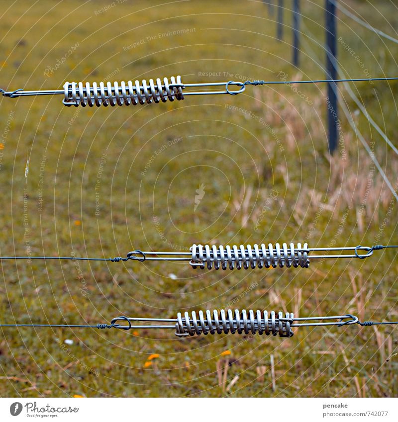 Q-Harfe Technik & Technologie Natur Landschaft Frühling Gras Wiese Feld Berge u. Gebirge Zeichen Schwerpunkt Symmetrie Zaun elektrisch gefährlich