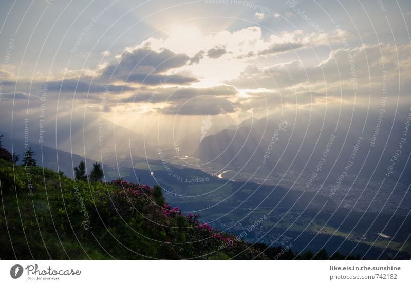 dem himmel so nah. harmonisch Wohlgefühl Sinnesorgane Erholung Freizeit & Hobby Ferien & Urlaub & Reisen Ausflug Ferne Freiheit Berge u. Gebirge Umwelt Natur