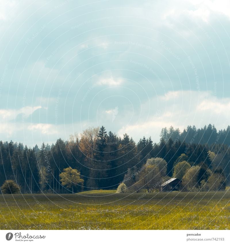 remember Natur Landschaft Urelemente Wolken Frühling Schönes Wetter Feld Wald Hügel Allgäu Weide authentisch Freundlichkeit Sauberkeit ästhetisch Idylle