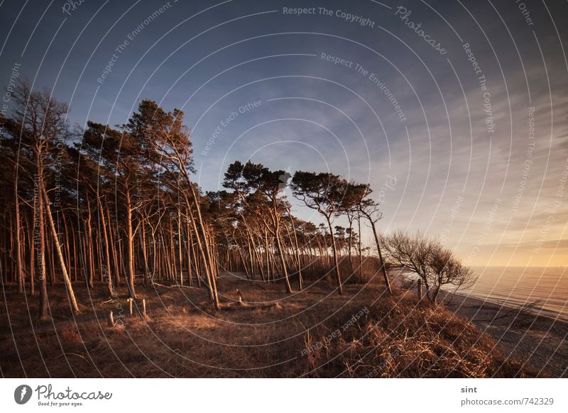 weststrand harmonisch Erholung ruhig Meditation Ferien & Urlaub & Reisen Tourismus Ausflug Strand Meer Natur Landschaft Sonnenaufgang Sonnenuntergang Frühling