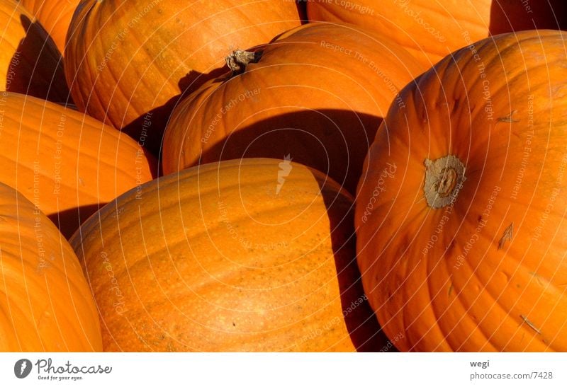 Kürbis Farbfoto Licht Schatten Gemüse Vegetarische Ernährung Halloween gelb