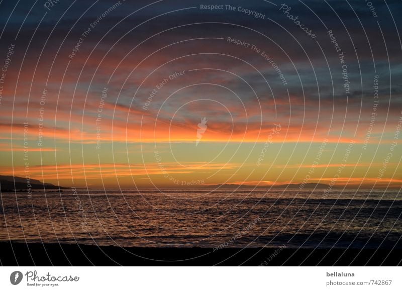 Wärme fürs Gemüt Umwelt Natur Landschaft Sand Wasser Himmel Wolken Gewitterwolken Horizont Sonne Sonnenaufgang Sonnenuntergang Sonnenlicht Sommer Schönes Wetter