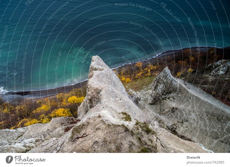 Viktoriablick Natur Landschaft Erde Sand Wasser Herbst Baum Sträucher Küste Ostsee blau gelb grau türkis weiß Mecklenburg-Vorpommern Rügen Königsstuhl