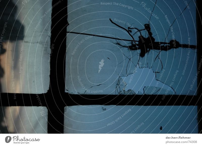 sprung Fenster Ruine Sonnenuntergang Wolken Baum Fensterkreuz Schnur kaputt springen Industriefotografie Himmel Knoten
