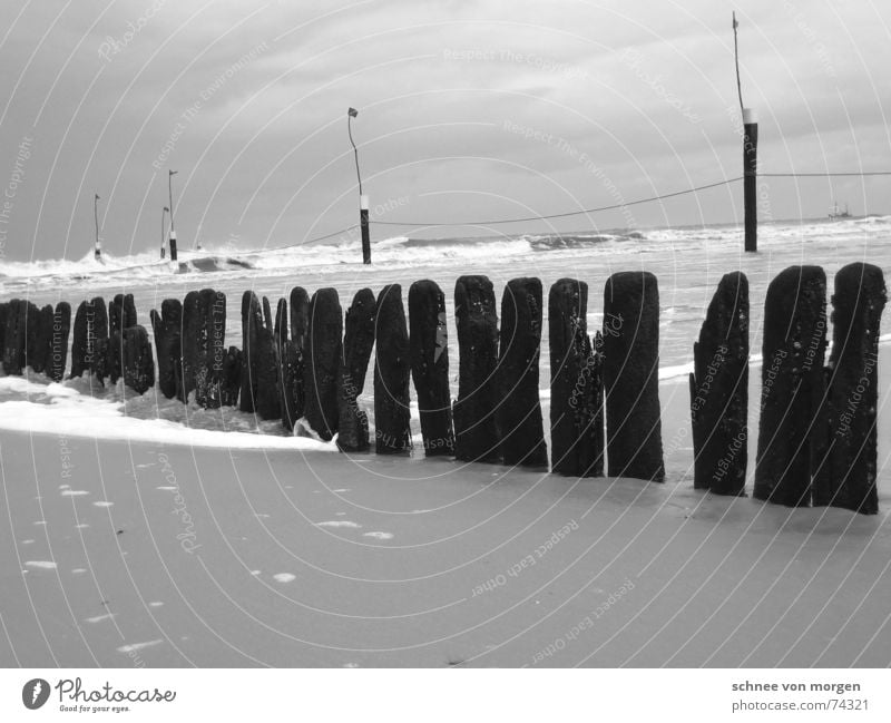 aber rückenwind Meer Strand Wind Holz Wellen Wolken grau schwarz Stele Horizont ruhig Licht Natur Umwelt Wasser Sand Wetter Regen Gewitter Linie sea rain water