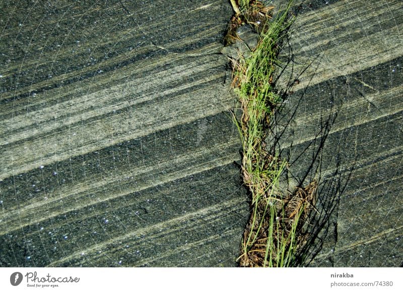 Geraden Gras grau grün Streifen Stein Felsen Linie