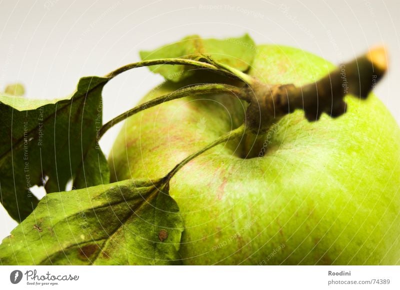 Vogelperspektive grün Schwerkraft Saft Gesundheit Zahnbürste Originalität authentisch lecker Fruchtzucker Vitamin Baum Blatt Stengel häuten reif Erntedankfest