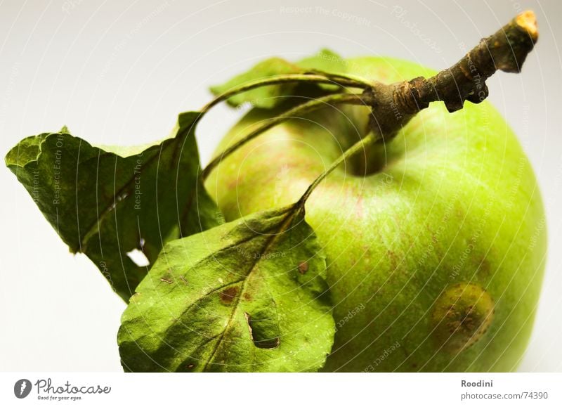 Zahnpflege unplugged grün Schwerkraft Saft Gesundheit Zahnbürste Originalität authentisch lecker Fruchtzucker Vitamin Baum Blatt Stengel häuten reif