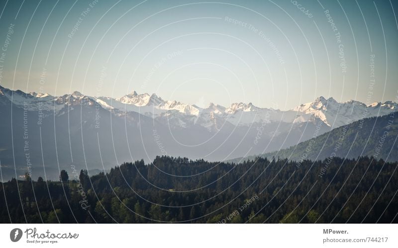 allgäu Umwelt Natur Landschaft Frühling Schönes Wetter Pflanze Wald Felsen Alpen Berge u. Gebirge Gipfel Schneebedeckte Gipfel glänzend Ferien & Urlaub & Reisen