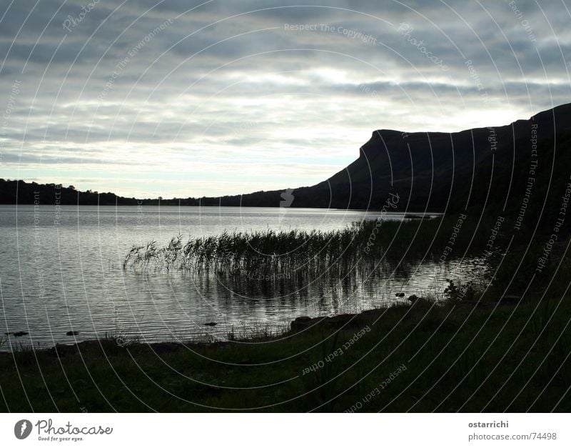 Am See Sonnenuntergang Schilfrohr Abend Republik Irland sligo Wasser Berge u. Gebirge