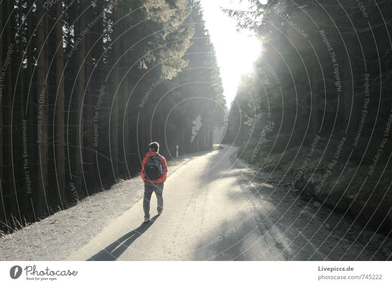 walking Mensch maskulin Mann Erwachsene 1 18-30 Jahre Jugendliche Umwelt Natur Landschaft Pflanze Himmel Wolken Sonne Sonnenlicht Frühling Klima Schönes Wetter