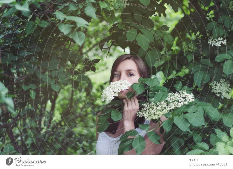 Hallo Sommer Mensch feminin Junge Frau Jugendliche Erwachsene Gesicht Hand 1 13-18 Jahre Kind 18-30 Jahre Landschaft Sträucher Holunderbusch Holunderblüte Blume