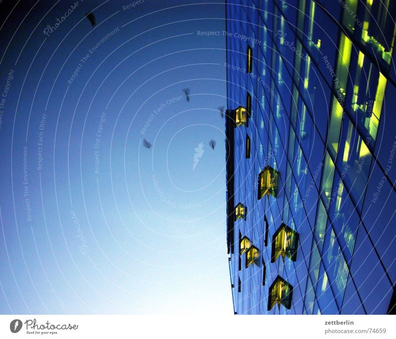 Abendvögel Potsdamer Platz Fassade Fenster Lüftungsklappe Licht Vogel Krähe Schlafplatz blau Froschperspektive Himmel Berlin fliegen schlafbaum