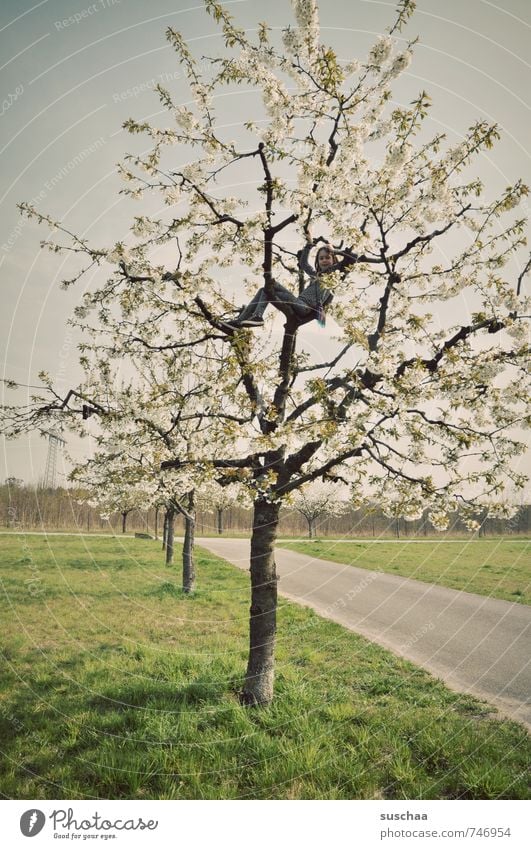 ... frühling Kind Mädchen Junge Kindheit 3-8 Jahre 8-13 Jahre Umwelt Natur Landschaft Frühling Klima Klimawandel Baum frei Kirschbaum Kirschblüten Gras Klettern