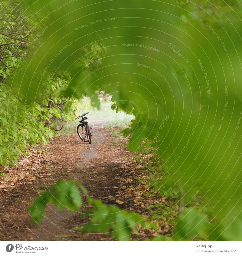 fahrt ins grüne Freizeit & Hobby Ferien & Urlaub & Reisen Tourismus Ausflug Abenteuer Ferne Freiheit Sommer Fahrrad Umwelt Natur Landschaft Pflanze Baum Blatt