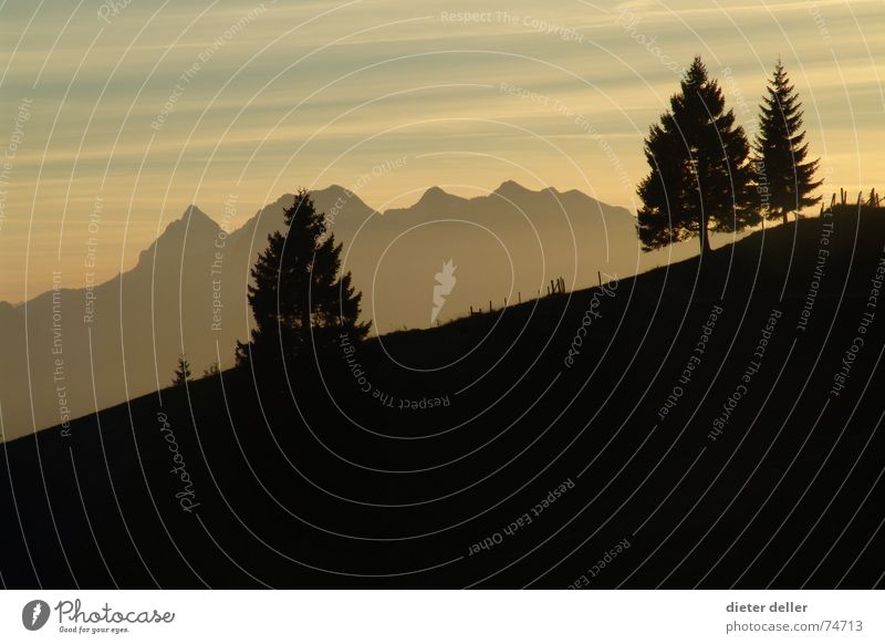 Mountain Sunset Abend Fichte Gegenlicht Schlagschatten Berghang Bergkette alpin Berge u. Gebirge Abenddämmerung Schatten Kontrast ....