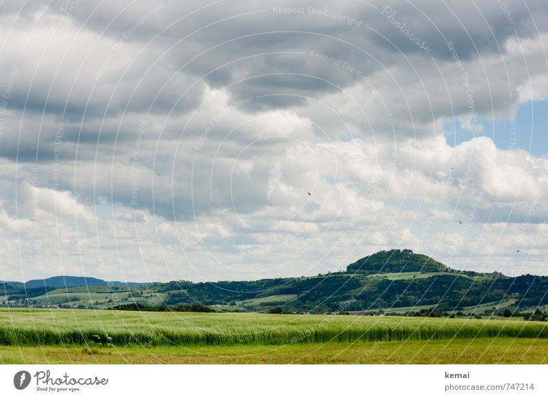 Love your Heimat // Wahrzeichen Umwelt Natur Landschaft Himmel Wolken Gewitterwolken Sonnenlicht Frühling Wetter Pflanze Nutzpflanze Gerste Gerstenfeld Kornfeld