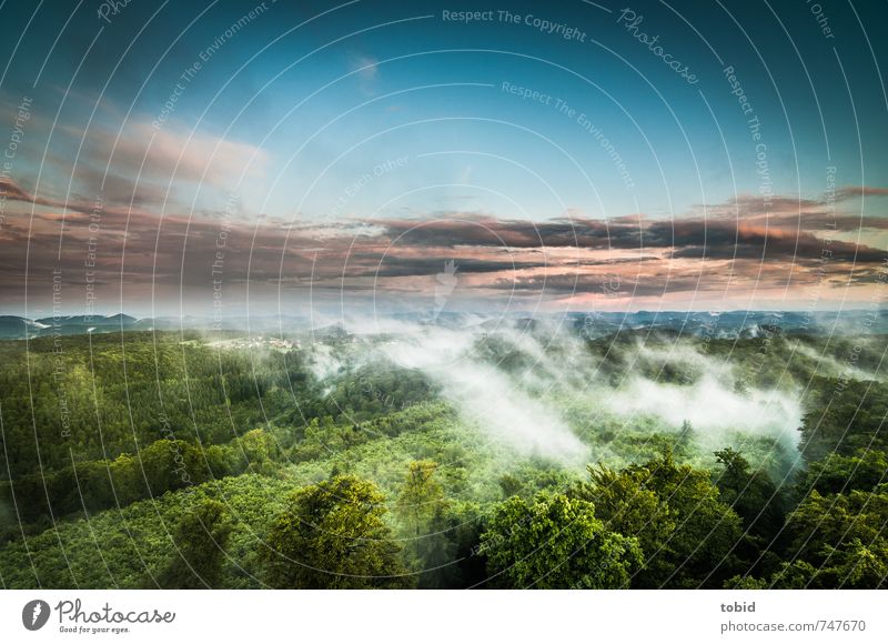 Wide Sky Ferne Freiheit Berge u. Gebirge Natur Landschaft Pflanze Luft Himmel Wolken Horizont Sonnenlicht Frühling Klima Wetter Nebel Baum Wald Hügel