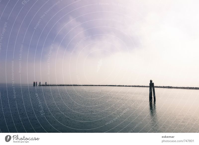 weit ... Insel Natur Landschaft Himmel Küste Bucht Ostsee Meer Vorpommersche Boddenlandschaft Hiddensee Kloster Hafenstadt Menschenleer Steg ästhetisch